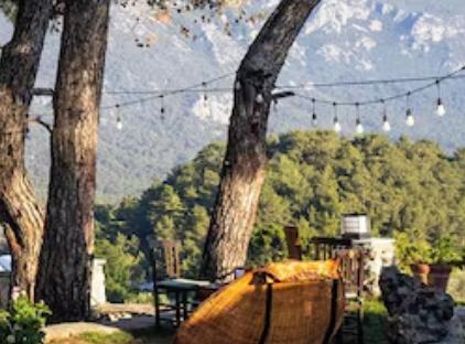 Kadir's Eco Life تورنگار