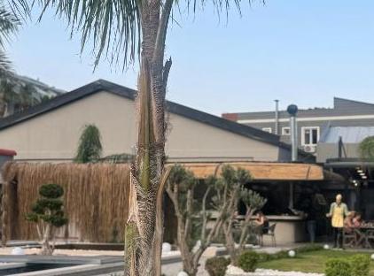 Monk Resort Hotel  تورنگار