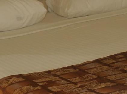 TT Hotels Hydros Club تورنگار