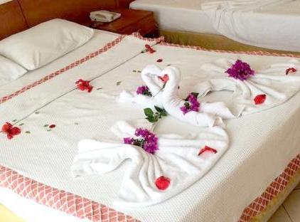 Istanbul Beach Hotel                                                                        تورنگار
