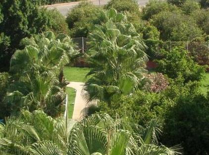 UK Hotel Kiriş تورنگار