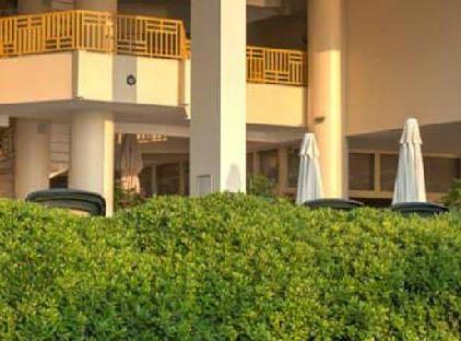 Golden Lotus Hotel تورنگار
