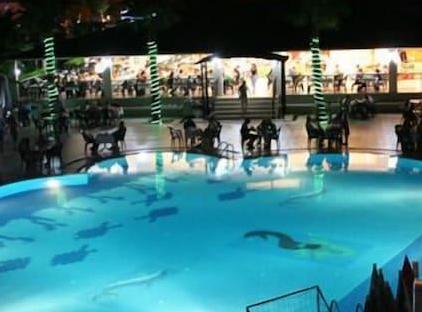 Mir'amor Garden Resort Hotel&spa تورنگار