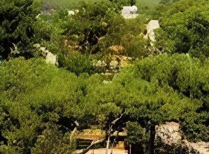Nex Royal Beach Hotel - All inclusive تورنگار