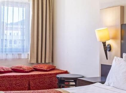 Viking Garden Hotel تورنگار