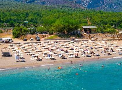 Viking Garden Hotel تورنگار