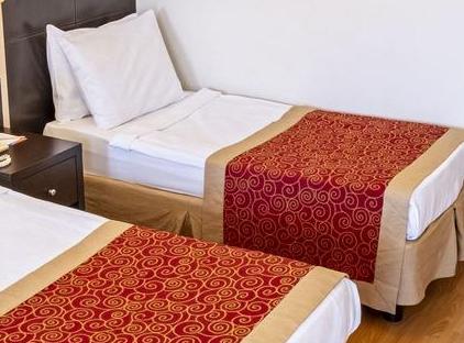 Viking Garden Hotel تورنگار