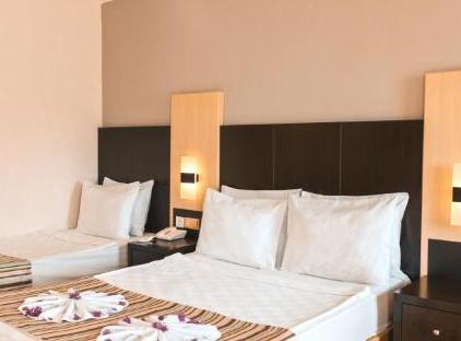Viking Garden Hotel تورنگار