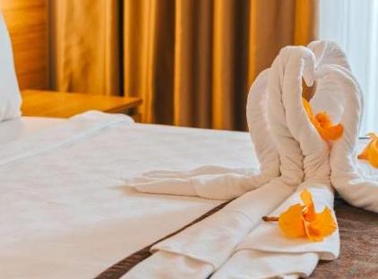 Viking Garden Hotel تورنگار