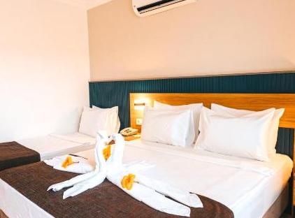 Viking Garden Hotel تورنگار
