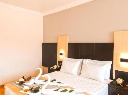 Viking Garden Hotel تورنگار