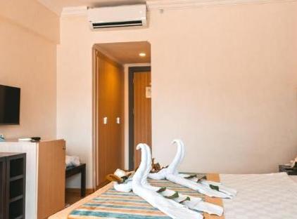 Viking Garden Hotel تورنگار