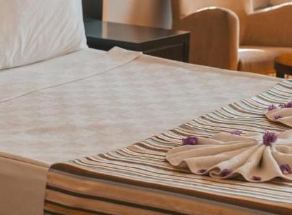 Viking Garden Hotel تورنگار