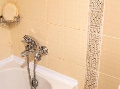 Viking Garden Hotel تورنگار