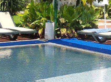 Viking Garden Hotel تورنگار