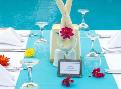 Viking Garden Hotel تورنگار