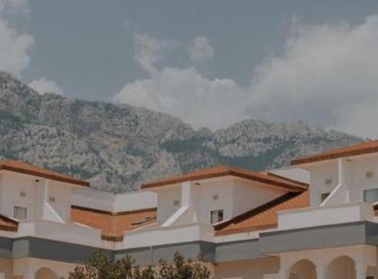 Viking Garden Hotel تورنگار