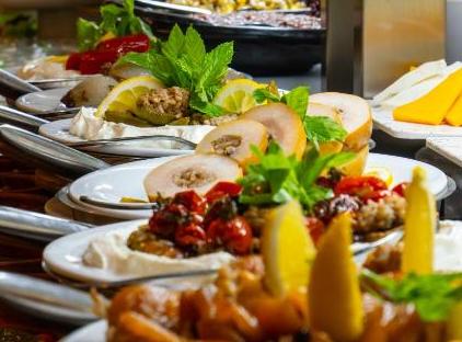 Viking Garden Hotel تورنگار