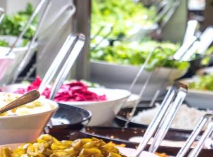 Viking Garden Hotel تورنگار