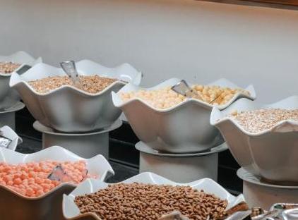 Viking Garden Hotel تورنگار