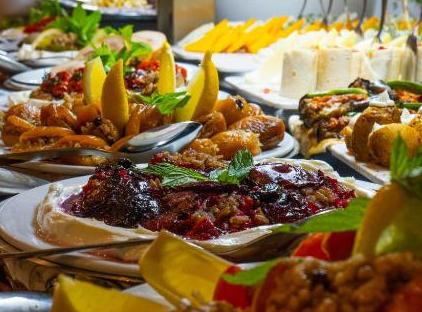 Viking Garden Hotel تورنگار