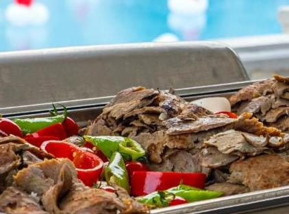 Viking Garden Hotel تورنگار