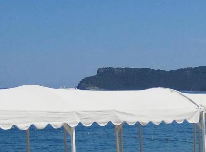 Viking Garden Hotel تورنگار