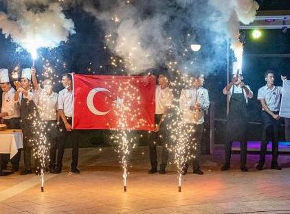VIKING PARK HOTEL تورنگار