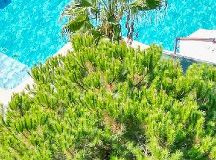 Forest İn Hotel  تورنگار