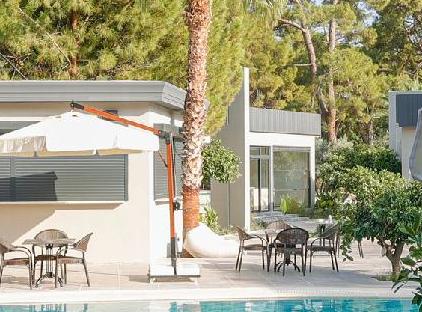 Forest İn Hotel  تورنگار
