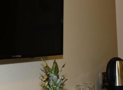ROSE GARDEN PREMIUM تورنگار