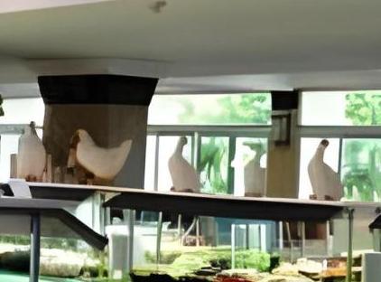 HOTEL CAMYUVA BEACH  تورنگار