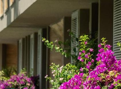 HOTEL CAMYUVA BEACH  تورنگار