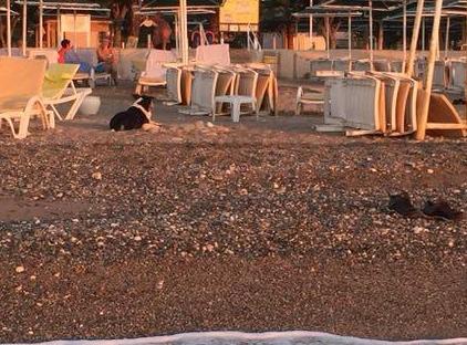 HOTEL CAMYUVA BEACH  تورنگار
