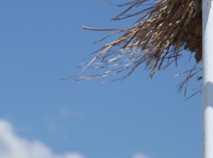 HOTEL CAMYUVA BEACH  تورنگار