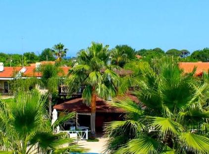 Nerissa Hotel تورنگار