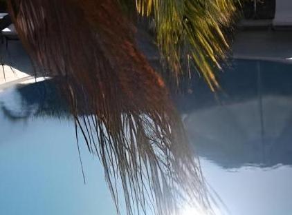 Nerissa Hotel تورنگار