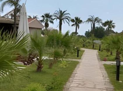 Nerissa Hotel تورنگار