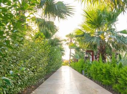 Nerissa Hotel تورنگار