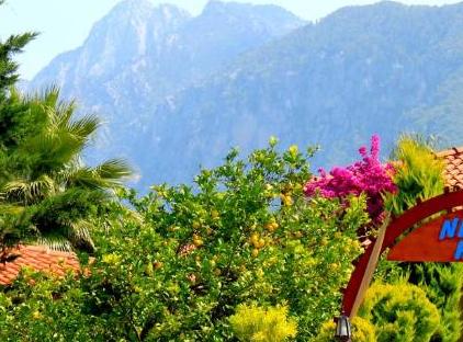 Nerissa Hotel تورنگار