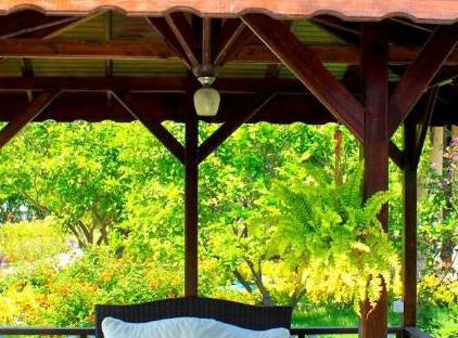 Nerissa Hotel تورنگار