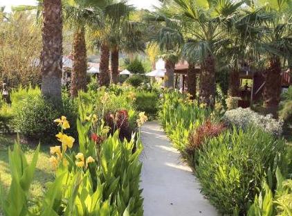 Nerissa Hotel تورنگار