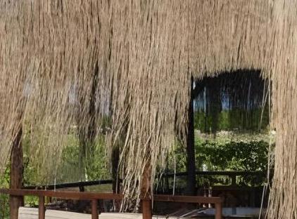 Nerissa Hotel تورنگار