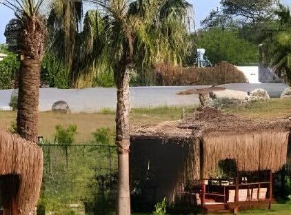 Nerissa Hotel تورنگار