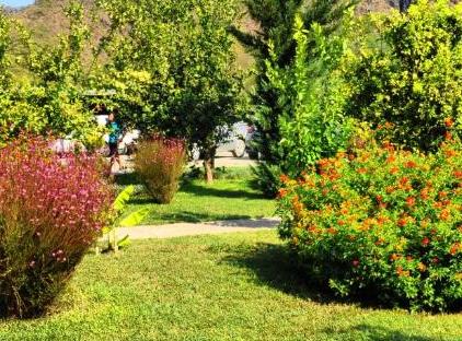 Nerissa Hotel تورنگار