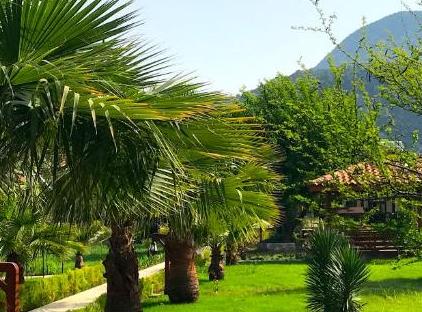 Nerissa Hotel تورنگار