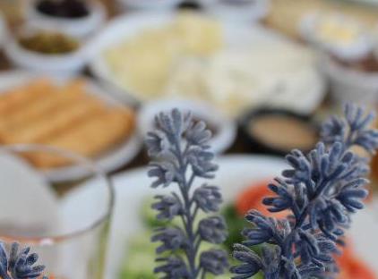 Elegance Hotel Kemer تورنگار