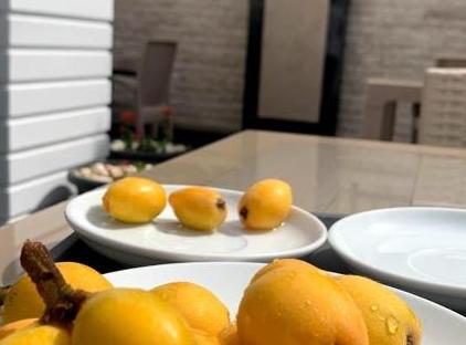 MIYAS LUXURY HOTEL تورنگار