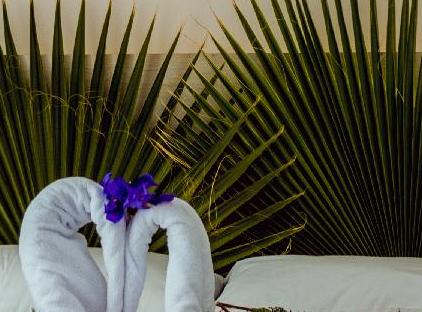 Dream Town Hotel تورنگار
