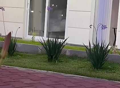 Dream Town Hotel تورنگار